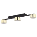 Lampa sufitowa DALLAS GOLD/BLACK czarna listwa ze złotymi kloszami TK Lighting