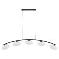 Lampa wisząca MARIKA z pięcioma kloszami na łukowej, czarnej listwie TK Lighting