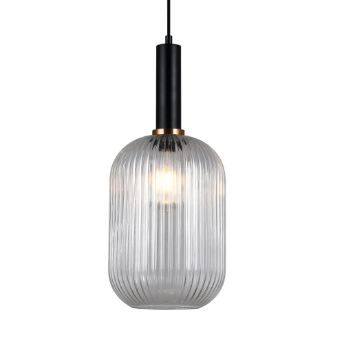 Lampa wisząca Antiola  PND-5588-1L-BK+CL Italux