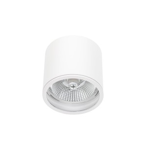 Oprawa sufitowa spot AR111 biała okrągła IP65 SLIP005031 Chloe Spectrum