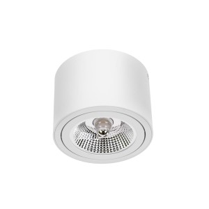 Oprawa sufitowa spot ruchoma AR111 biała okrągła Chloe SLIP005012 Spectrum