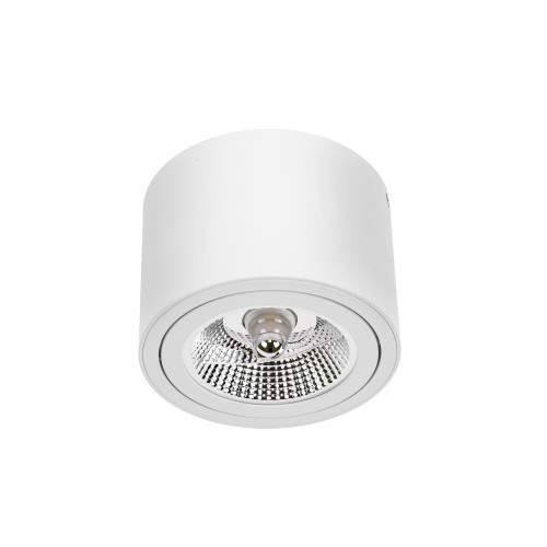 Oprawa sufitowa spot ruchoma AR111 biała okrągła Chloe SLIP005012 Spectrum