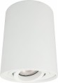 Lampa natynkowa spot tuba biała regulowana Light