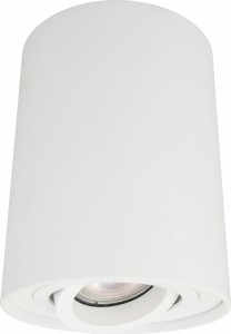 Lampa natynkowa spot tuba biała regulowana Light