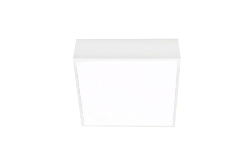 Plafon FALCO 12 4000K WHITE AZ2781 Azzardo