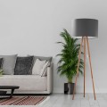 Lampa podłogowa TOKYO grafitowa na drewnianym trójnogu TK Lighting